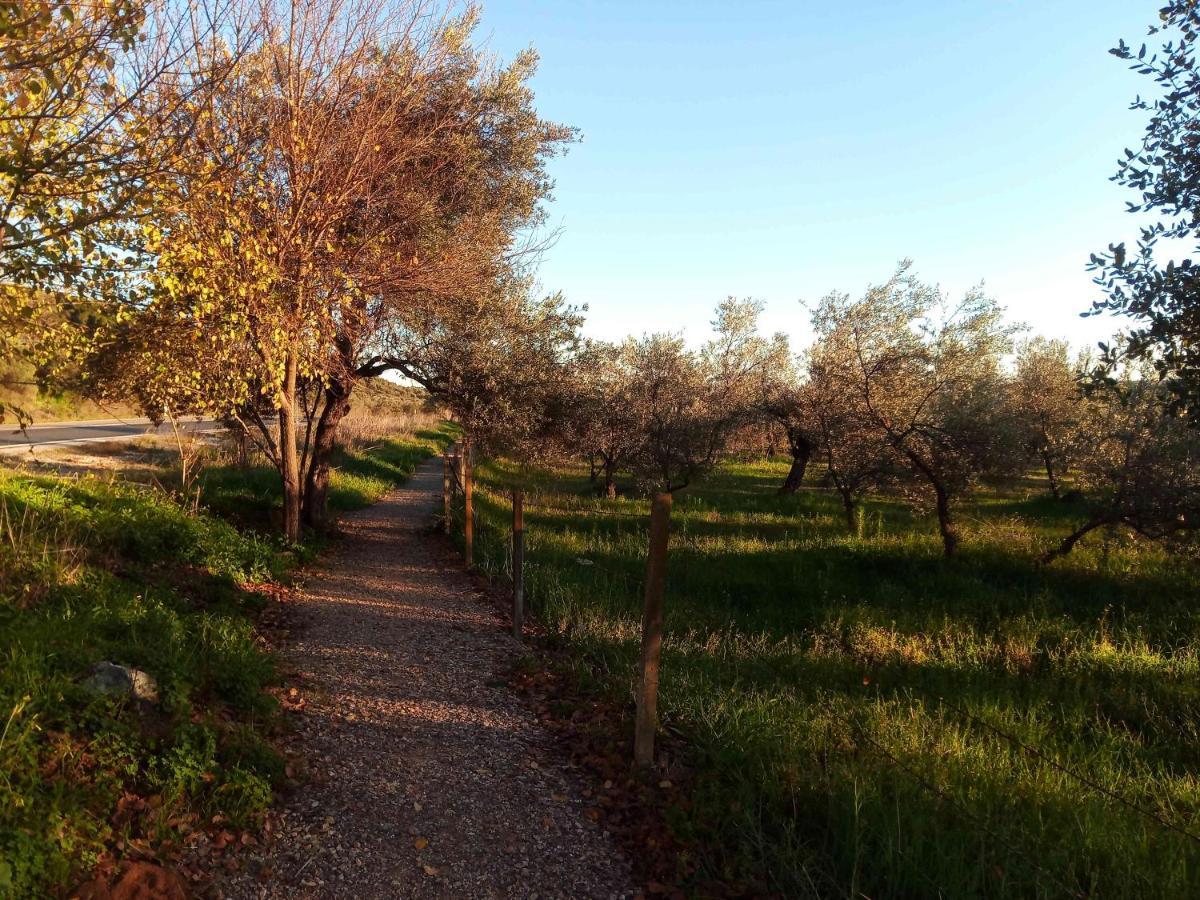 Casa Rural El Palomar El Pedroso Eksteriør billede